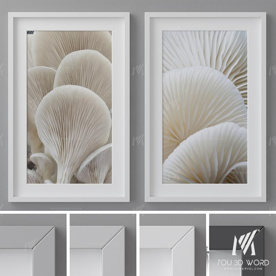 Photo Frames Set 260
